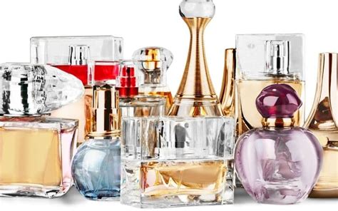 does fragrancex sell fake perfume|does fragrancex sell authentic perfume.